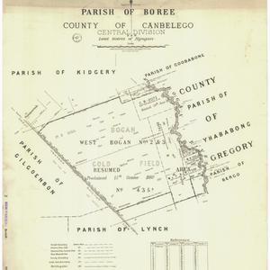 [Parish of Boree, County of Canbelego] [cartographic ma...