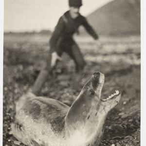 Item 1171: Oceanography. Marine biological programme an...