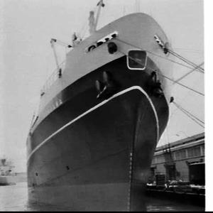 P. & O. ship Arakawa, Pyrmont