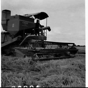 Harvesting rice on Ian Davidge's property, Griffith