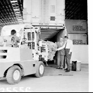 Shipping sheepskins in Overseas Containers (OCL), Chull...
