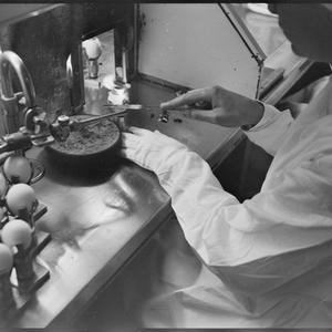 Commonwealth serum laboratories Melbourne, April 1960 /...