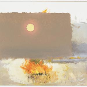 Item 31: Fire effects, experiment for a landscape, [194...