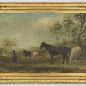 Horses and cattle with Aboriginal station hand, Wellwoo...